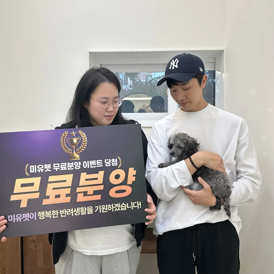 입양 후기 사진
